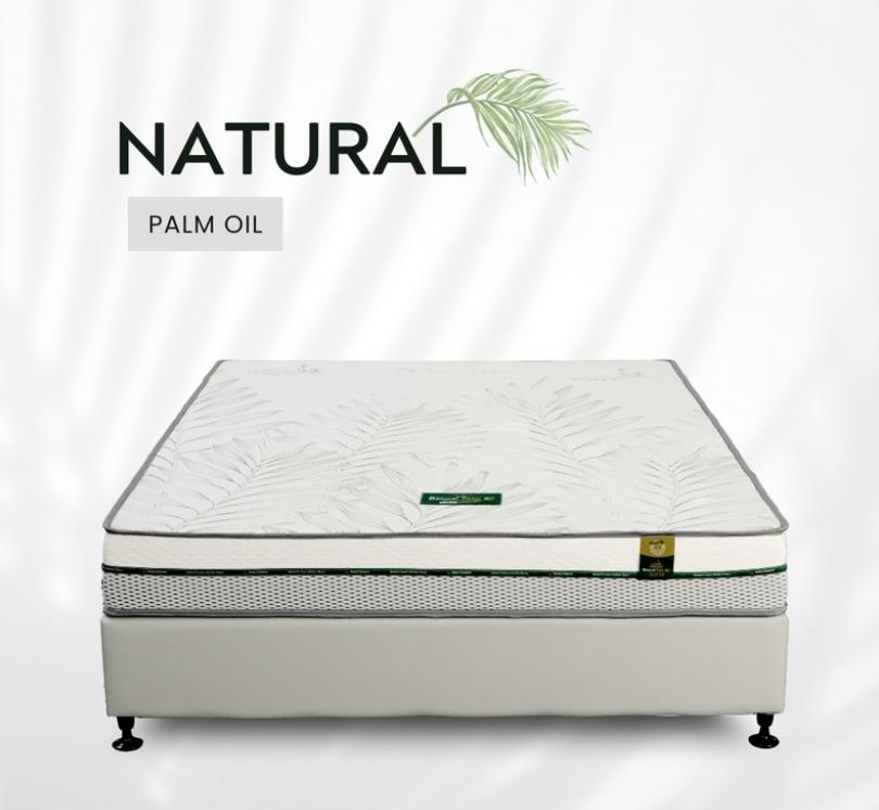 Nệm Dầu Cọ Thiên Nhiên Five Star