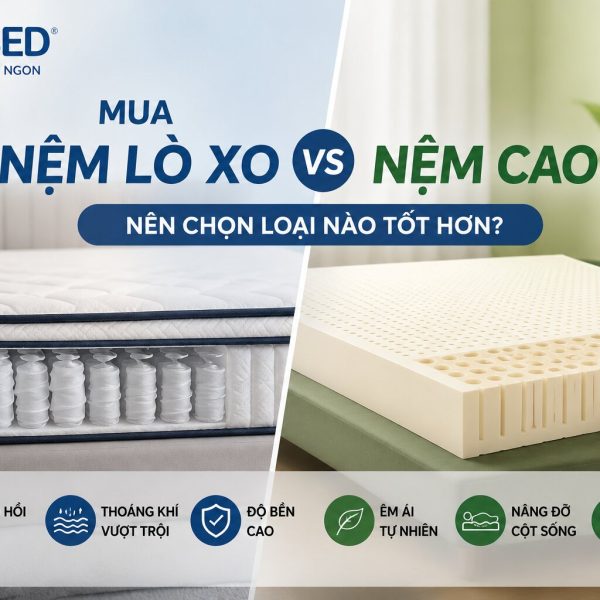Nên mua nệm lò xo hay cao su