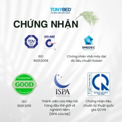 Topper nệm cool max băng lạnh