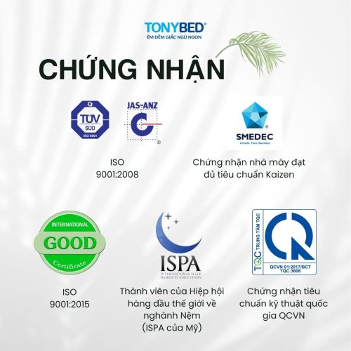 Topper nệm cool max băng lạnh