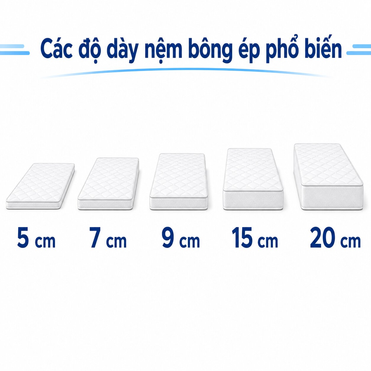 Các độ dày phổ biến của nệm bông ép từ 5cm đến 20cm