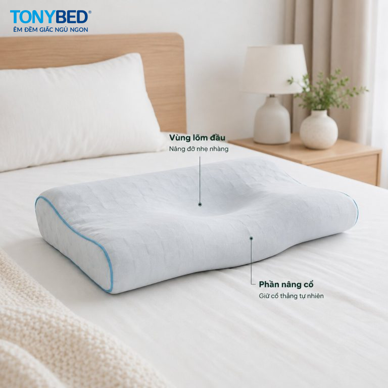 ergonomic pillow gối công thái học