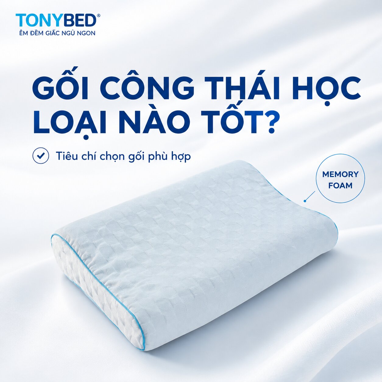 Gối công thái học loại nào tốt