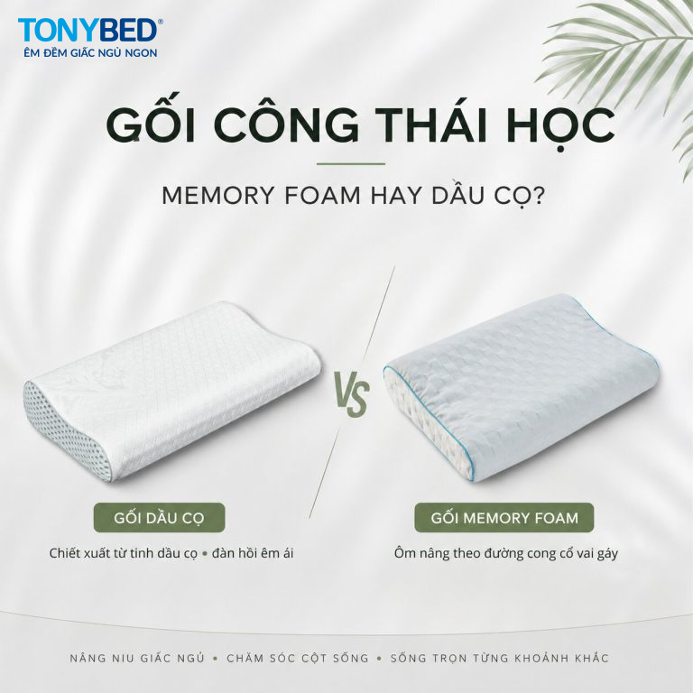 gối công thái học memory foam và dầu cọ Tonybed