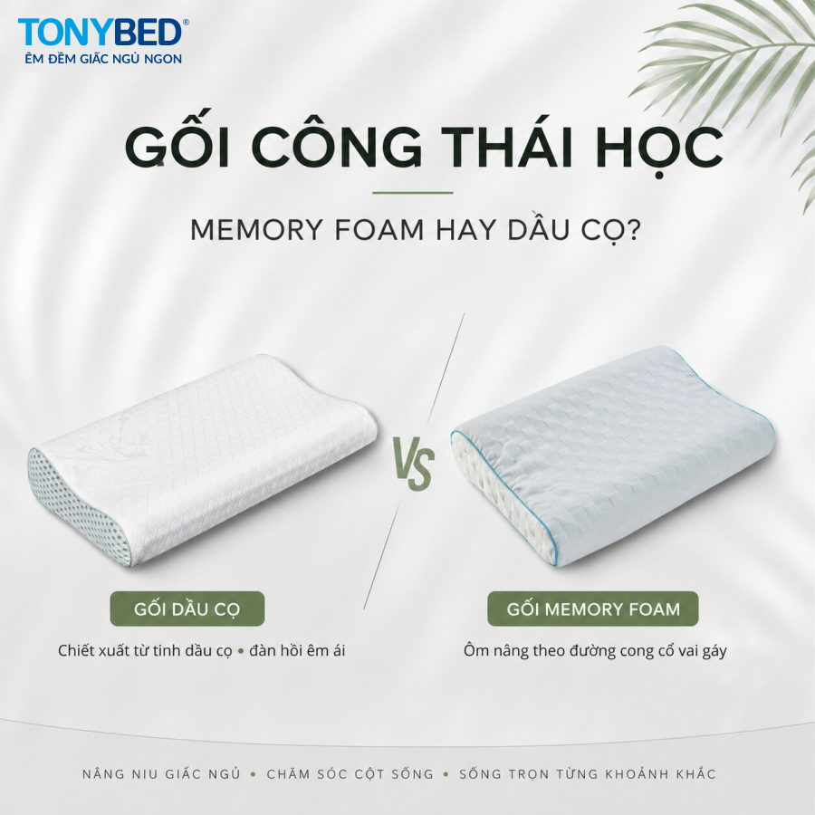 gối công thái học memory foam và dầu cọ Tonybed