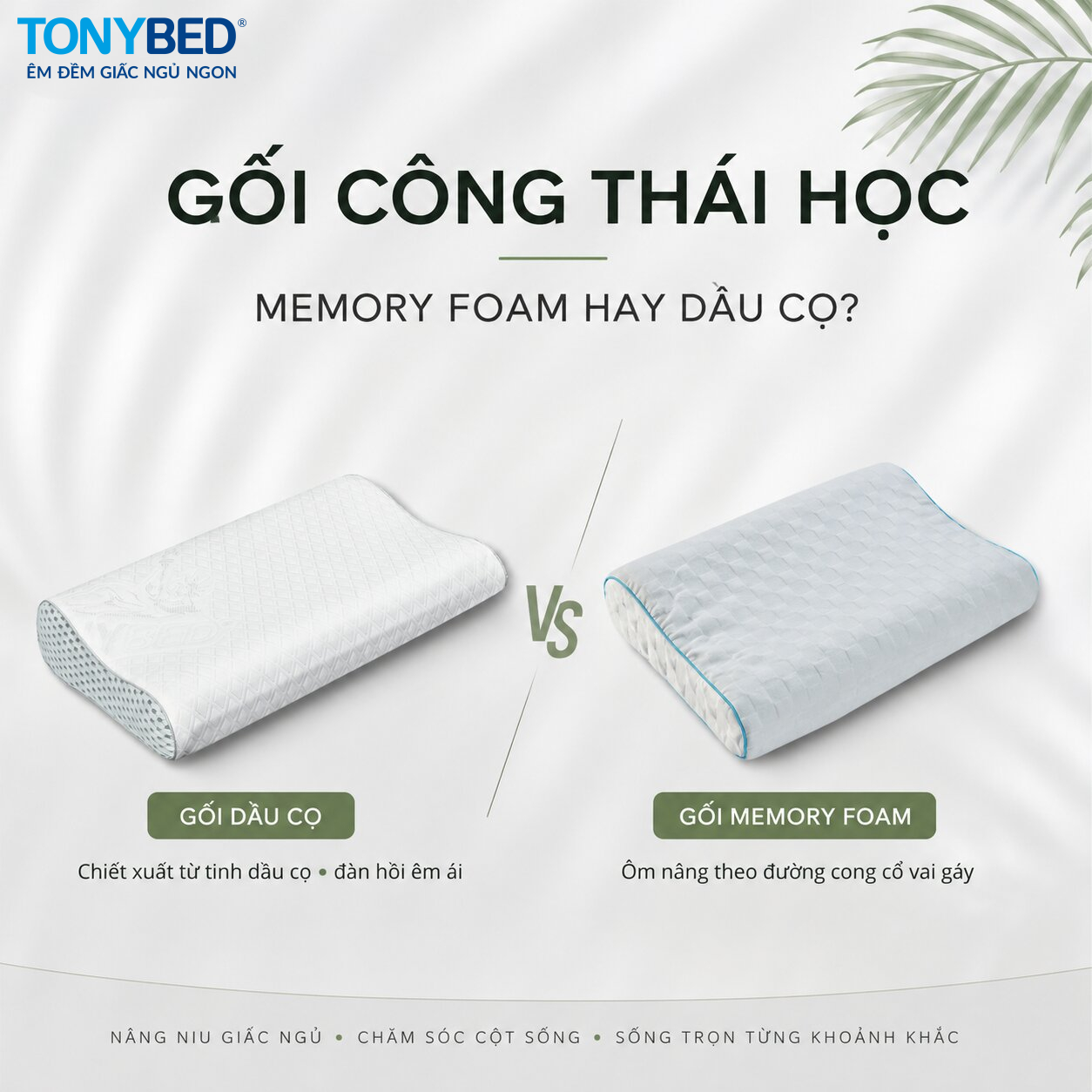 gối công thái học memory foam và dầu cọ Tonybed