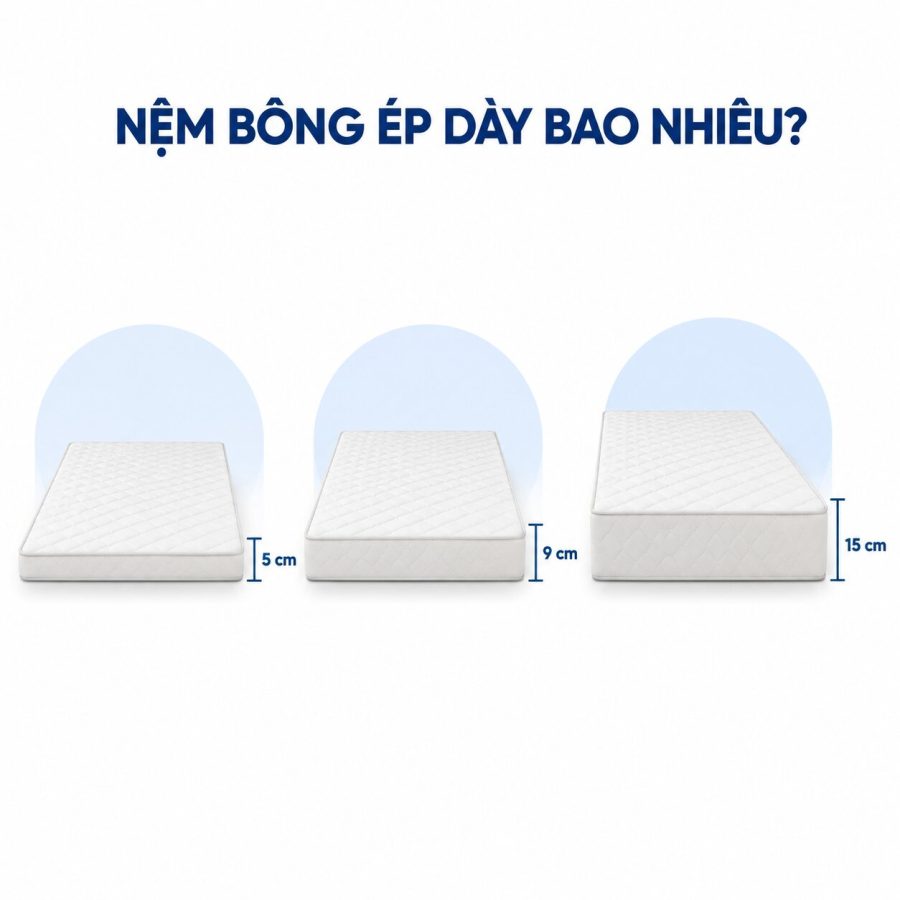 nệm bông ép dày bao nhiêu