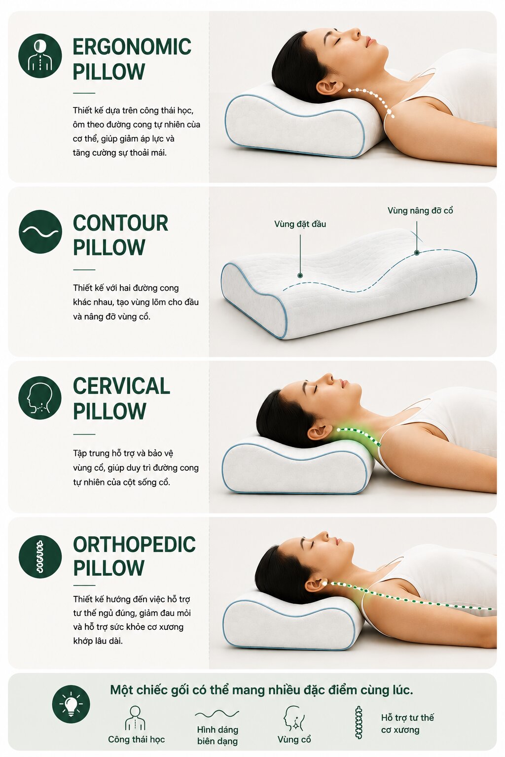 phân biệt ergonomic pillow contour pillow cervical pillow