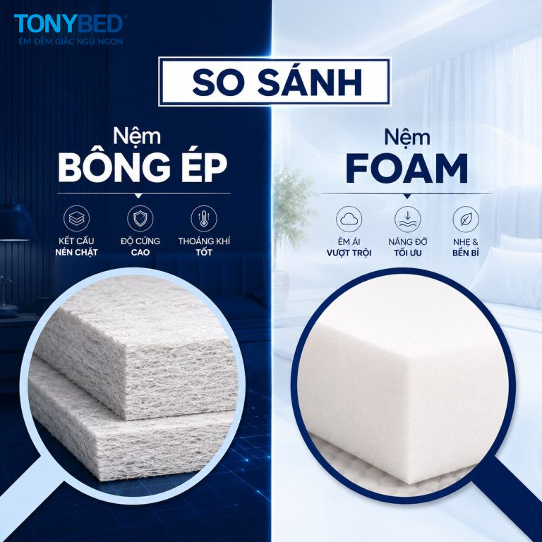 so sánh nệm bông ép và nệm foam