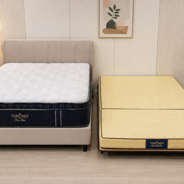 So sánh nệm lò xo và nệm bông ép về cấu tạo và kiểu dáng