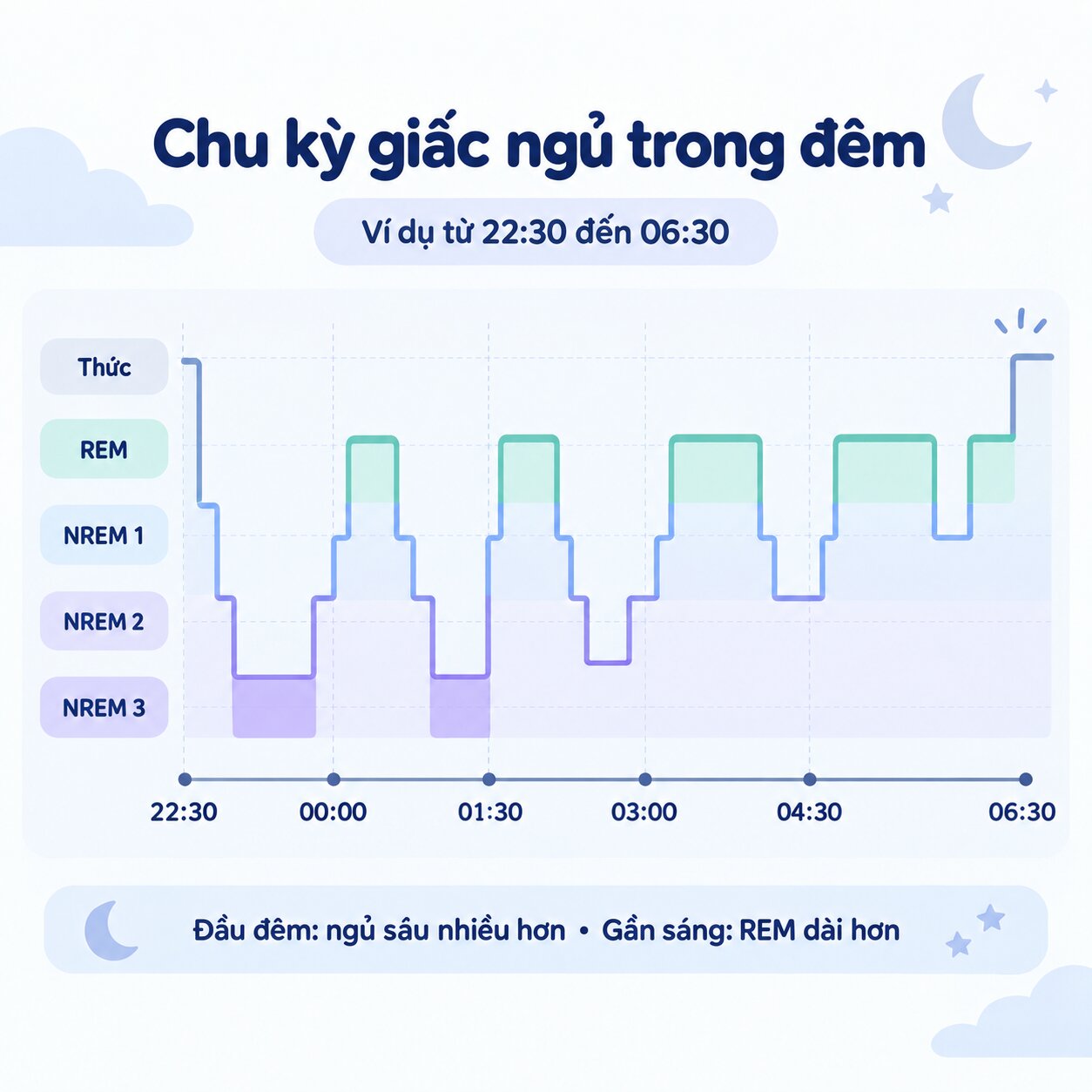 Sơ đồ chu kỳ giấc ngủ trong một đêm NREM và REM