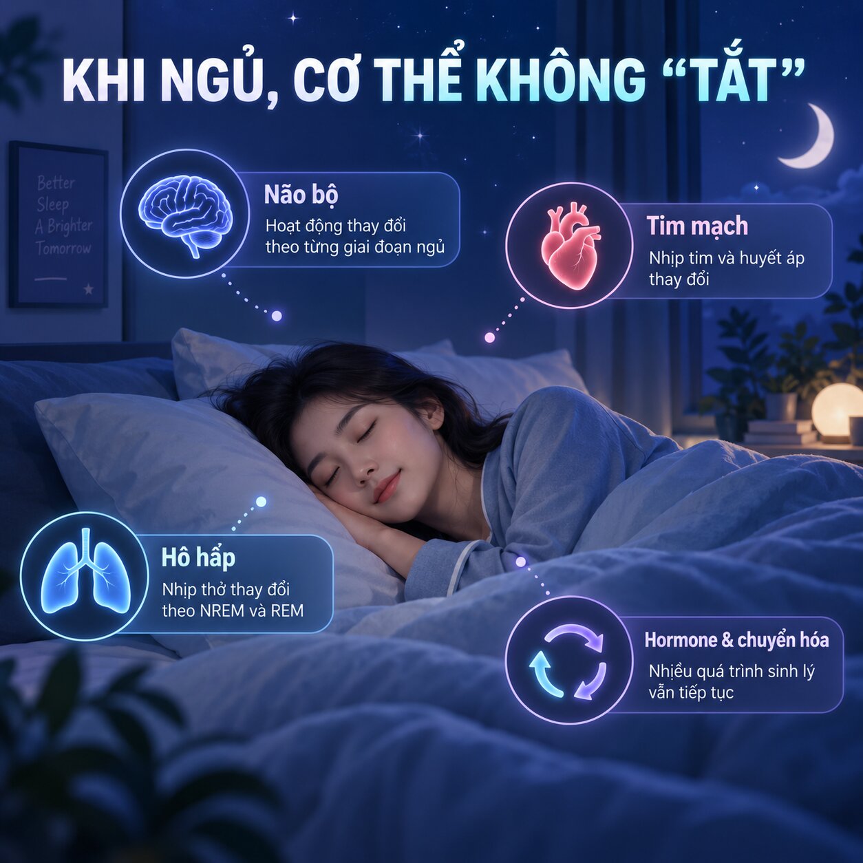 Điều gì xảy ra với não tim hô hấp và cơ thể khi ngủ