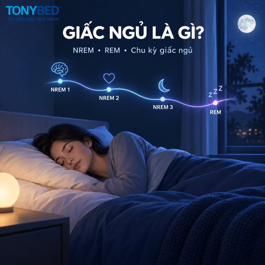 Giấc ngủ là gì và các giai đoạn NREM REM