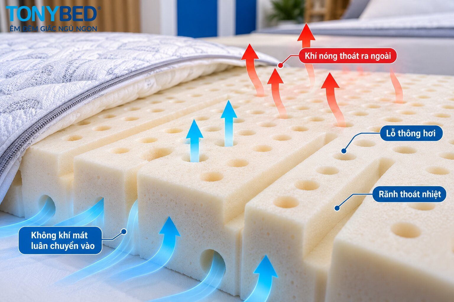 Cận cảnh lõi nệm foam Tonybed với cấu trúc lỗ thông hơi và rãnh thoát nhiệt giúp tản nhiệt tối đa