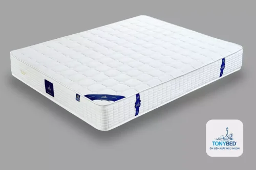 Nệm khách sạn Deluxe 2 Viền Tonybed