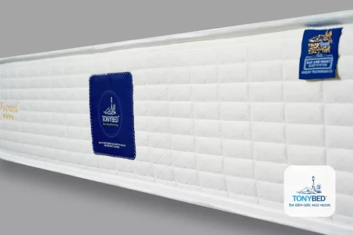 Nệm khách sạn Deluxe 2 Viền Tonybed