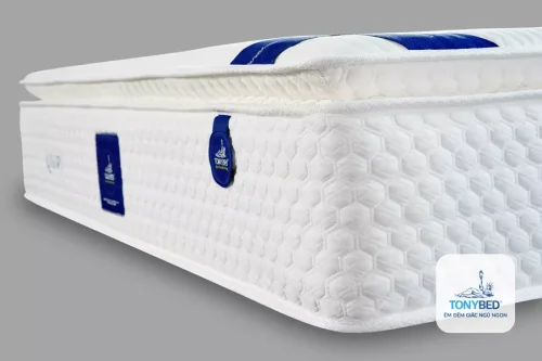 Nệm khách sạn Luxury Pillow Top Tonybed