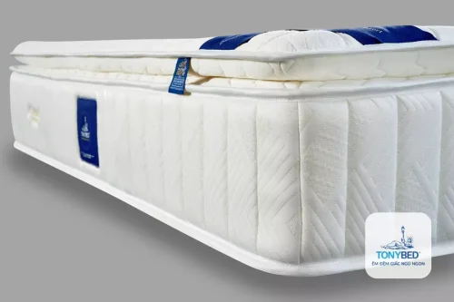 Nệm khách sạn lò xo túi Premium Pillow Top Tonybed