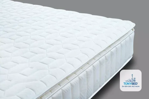 Nệm khách sạn lò xo túi Premium Pillow Top Tonybed