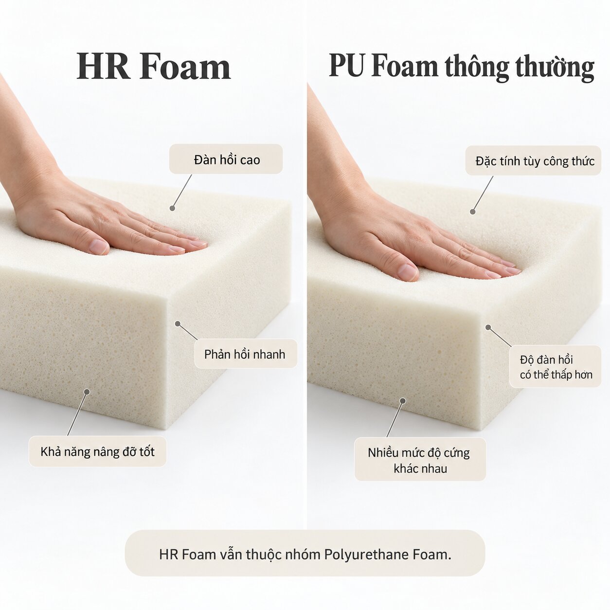 So sánh HR Foam và PU Foam thông thường về độ đàn hồi và phản hồi