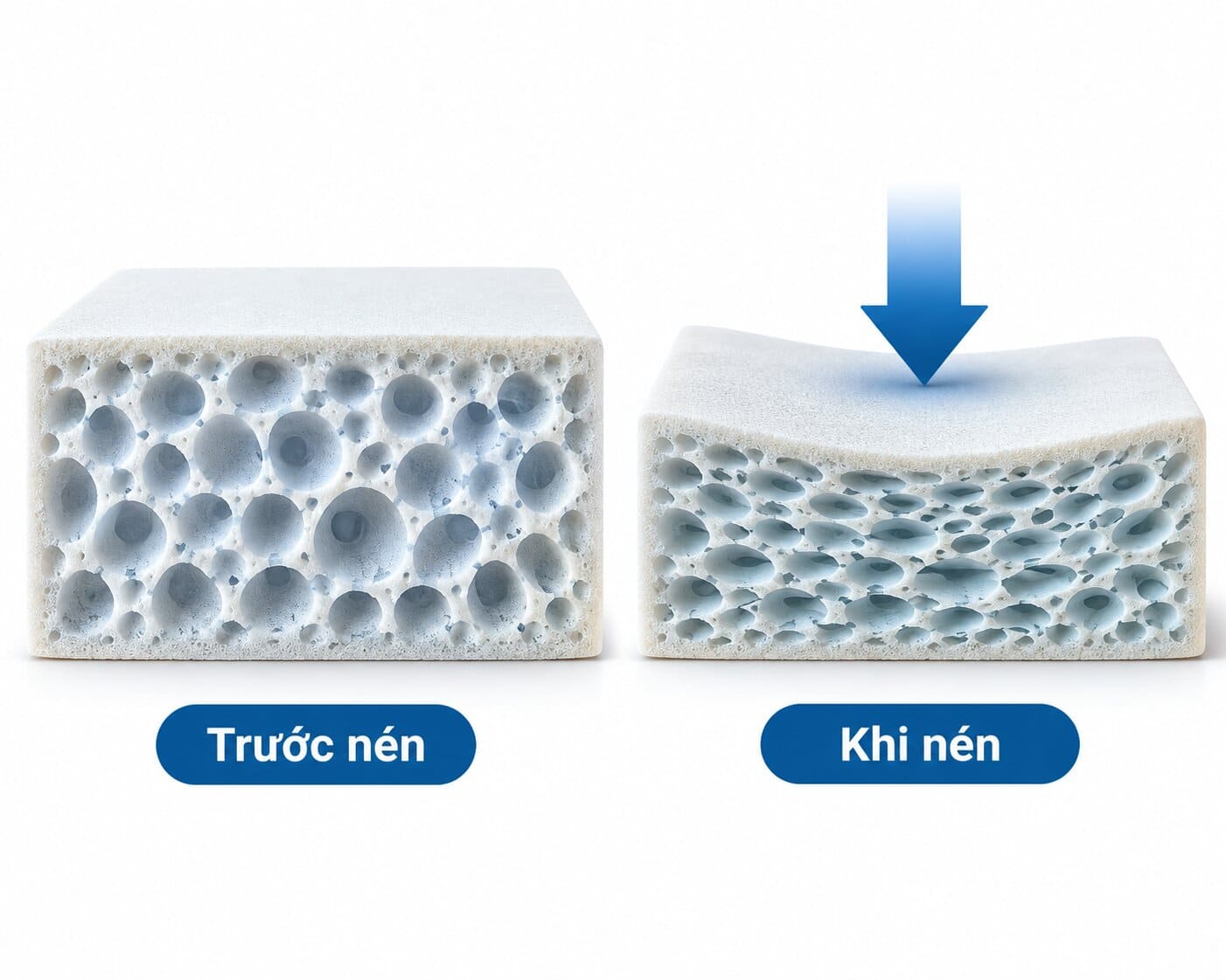 Minh họa cấu trúc lõi foam trước và khi chịu lực nén