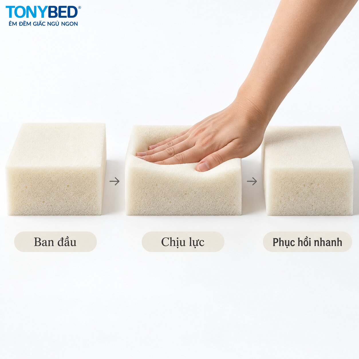 khả năng phục hồi nhanh của HR Foam sau khi chịu lực