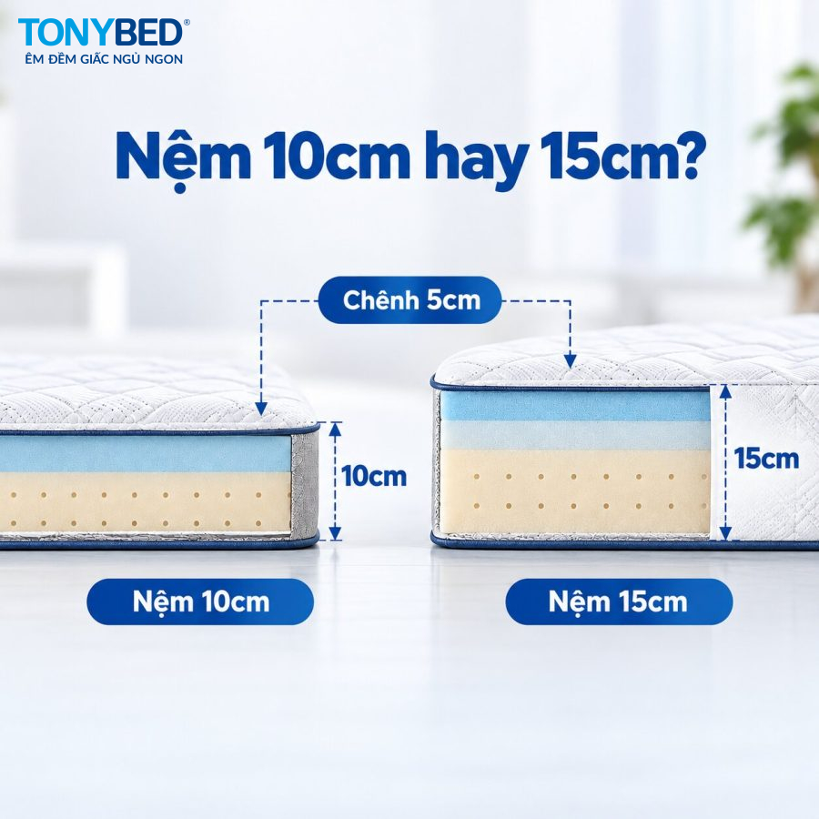 Nên mua nệm 10cm hay 15cm