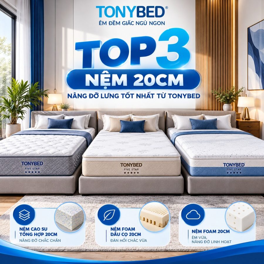 Top 3 dòng nệm 20cm nâng đỡ lưng từ Tonybed